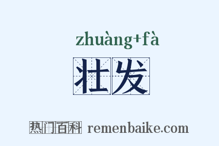 壮发是什么意思的图片